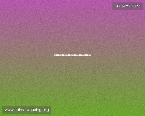 深入了解世界杯胜负预测中文指南：满足体育迷的赛前分析与预测需求